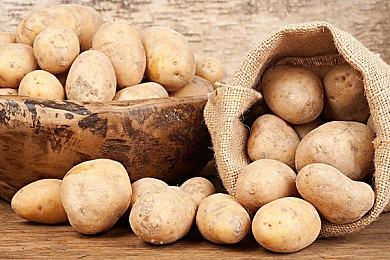 动态沙盒回合制战术角色扮演游戏《尘墓纪事》现已推出免费序章